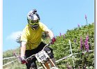 2013-07-13 -D47I5951